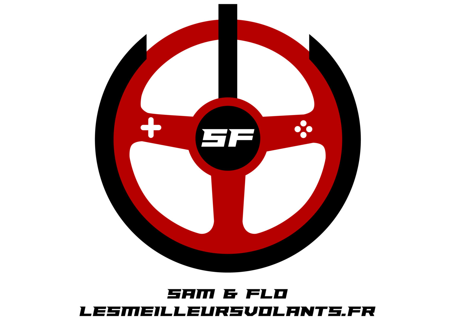 Logo Sam et Flo lesmeilleursvolants.fr