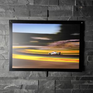 "The Lions" - PF - Bruxelles Rear