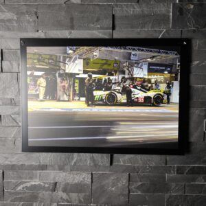 "The Lions" - PF - Night FP go