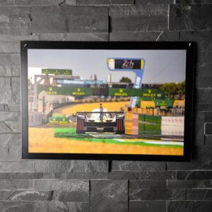 "The Lions" - PF - Sous la jupe