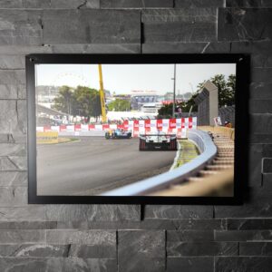 "The Lions" - PF - 1 mètre