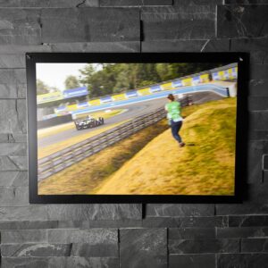 "The Lions" - PF - 3/4 rear