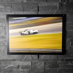 "The Lions" - PF - 3/4 front