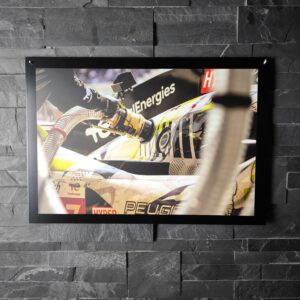 "The Lions" - PF - Unplug