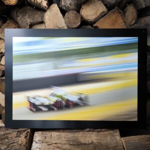 "The Lions" - GF - 1/6sec