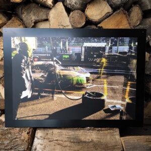 "The Lions" - GF - Pit Spa